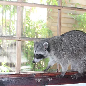 Close To The Town Utopia , Isla Holbox Mexiko